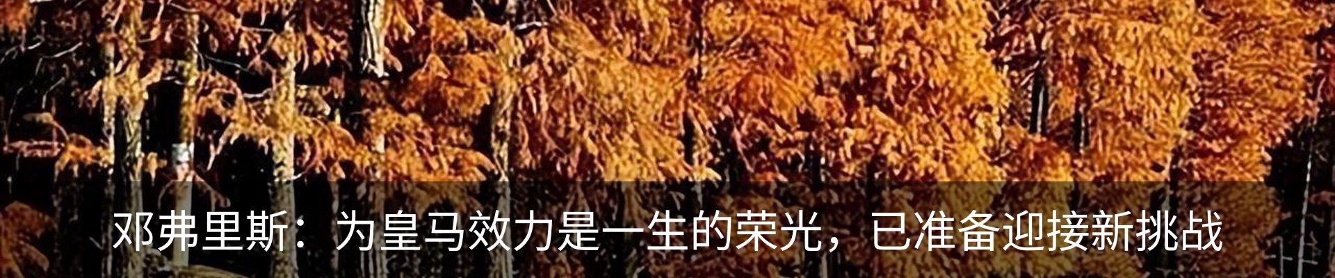 行业资讯